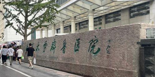 齐鲁医学院爆料事件最新,真相与争议交织的教育丑闻揭露  第1张 齐鲁医学院爆料事件最新,真相与争议交织的教育丑闻揭露  第1张
